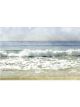 Siesta Surf | 36