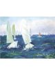 Regatta I | 50