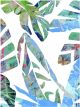 Hot Tropics II | 40