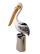 Pelican Perch Statue