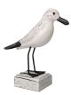 Standing Seagull