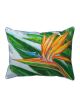 Bird of Paradise | 16