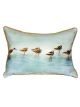 Avocet Birds | 16