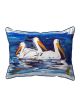 Three Pelicans | 16