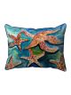 Swimming Starfish | 16