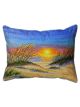 Sea Oat Sunset | 16