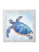 Blue Turtle | 21