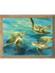 Turtles | 30
