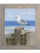 Perched Gull I | 24