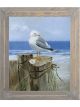 Perched Gull II | 24