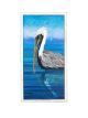 Pretty Pelican II | 17