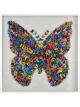 Rainbow Butterfly II | 47