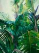Tropical Ferns | 40