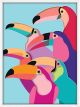 Toucan Family | 42