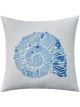 Conch Shell | 18