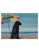 R449544-B | 2'X3'