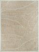 R8B02CMLIV-B | 5'X8'