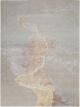 RCGS29ASH-C | 9'X12'
