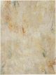 RR1157245-C | 8'X10'3