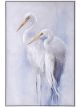 Egret Pair | 33