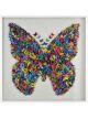 Rainbow Butterfly II | 47