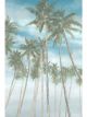 Palms in the Breeze | 40
